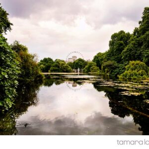 Tamara Lackey, Photographing London, Nikon, The London Eye