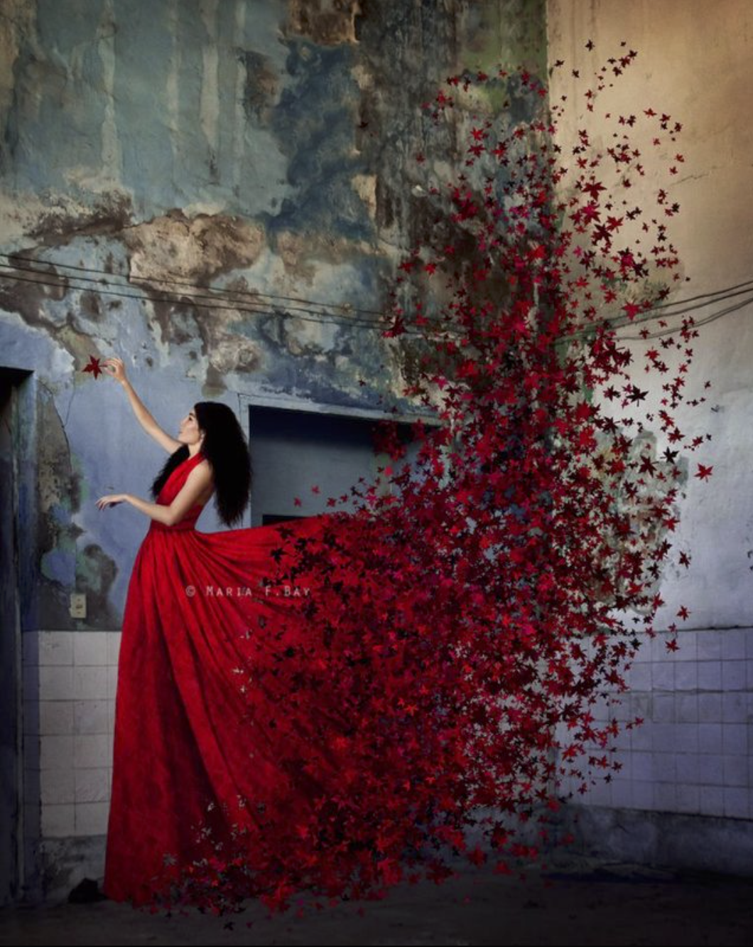 photography contests, nations photo lab, tamara lackey, contest winners