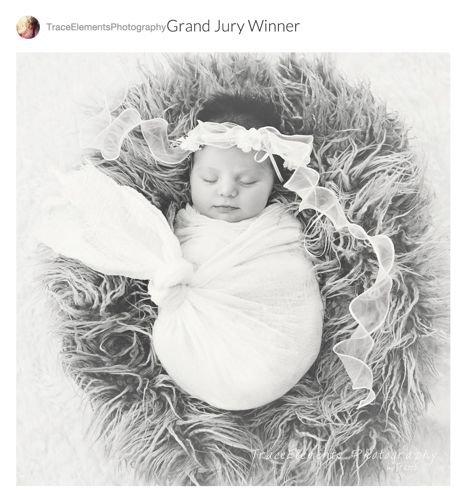 Mylio, Photo Contest Winners, Tamara Lackey