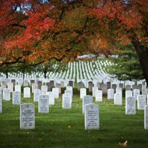 arlington cemetary, photo contest winners, the gratitude contest, tamara lackey, nations photo lab