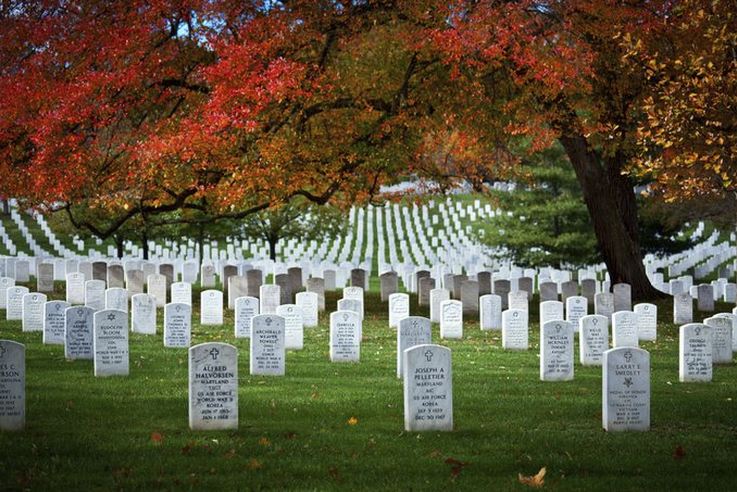 arlington cemetary, photo contest winners, the gratitude contest, tamara lackey, nations photo lab