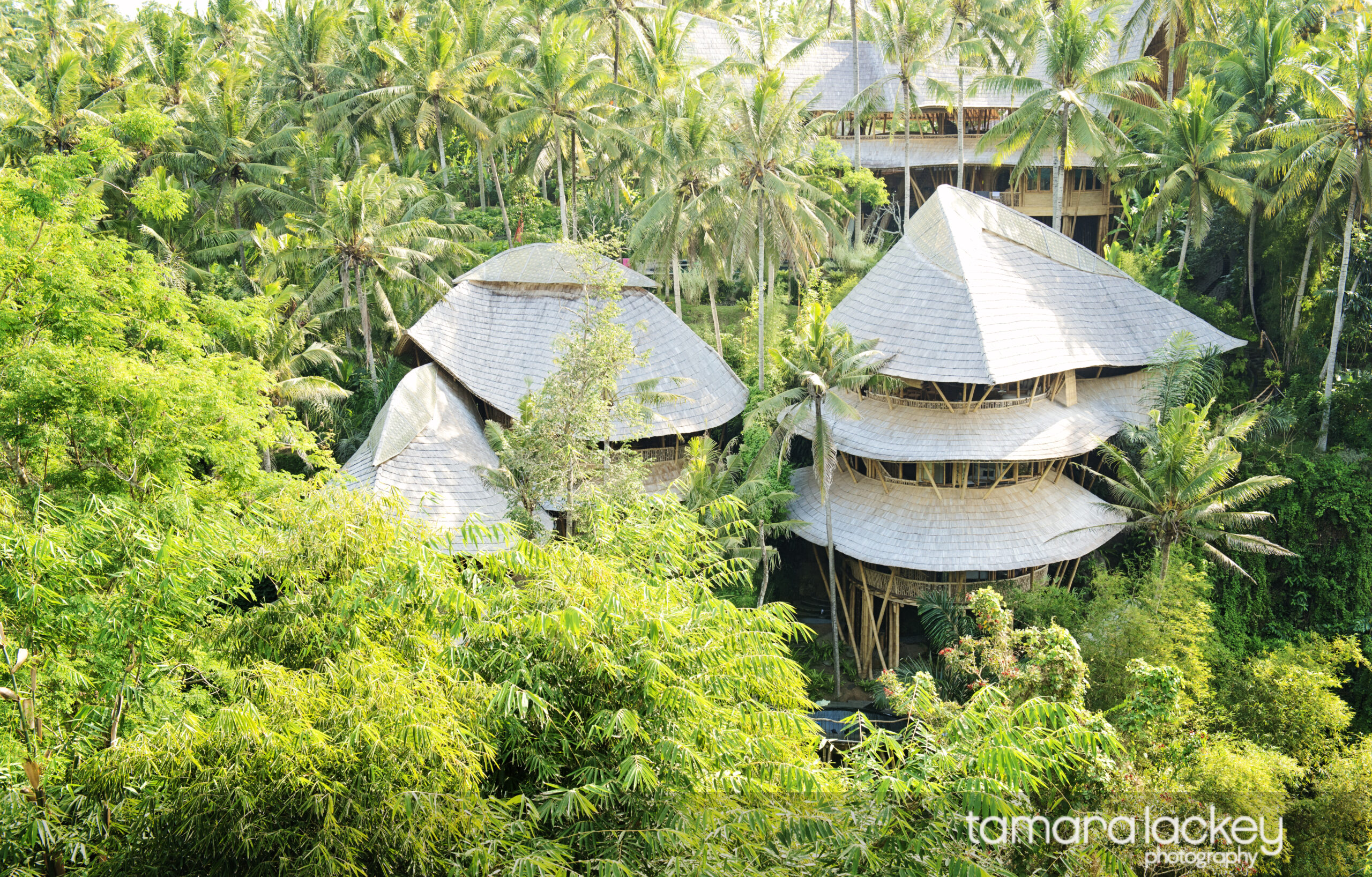 Tamara Lackey, What If Conference, mindfulness, Bali, travel photography