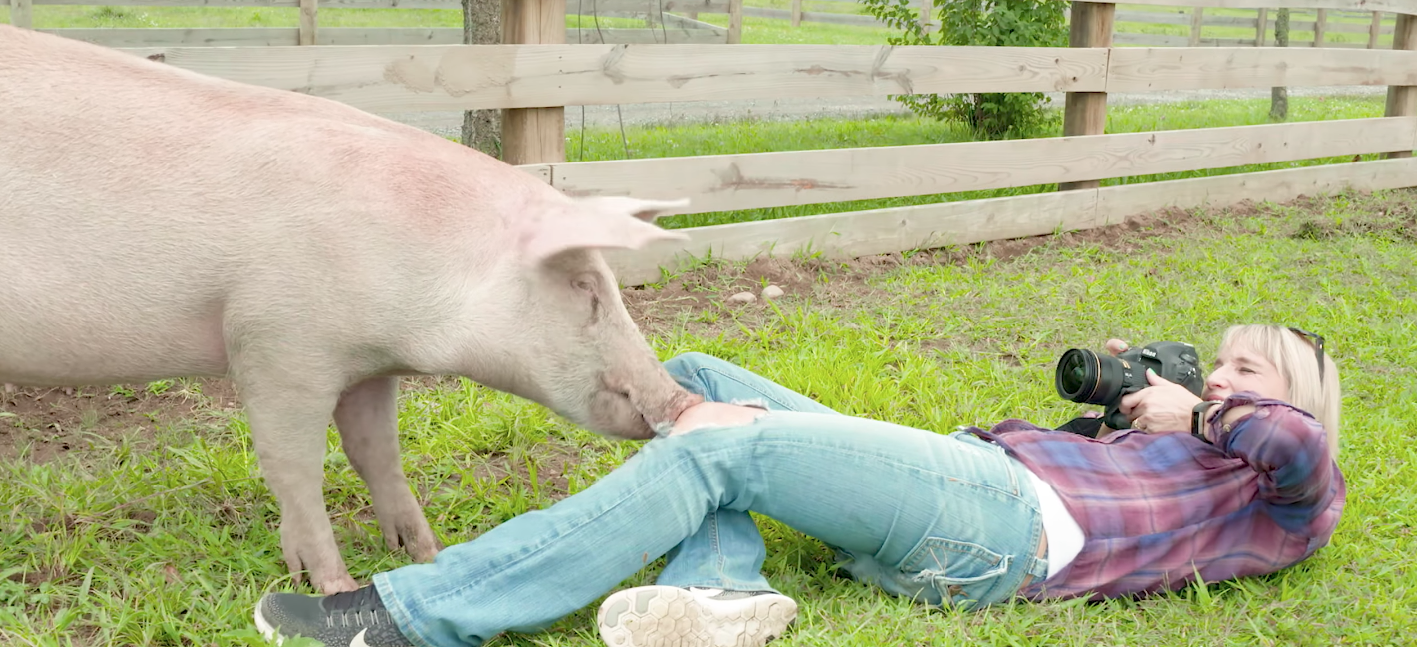 Spotlight film, Tamara Lackey, Adorama, AdoramaTV, Woodstock, farm sanctuary, Beautiful Together, Ethiopia, portrait photography
