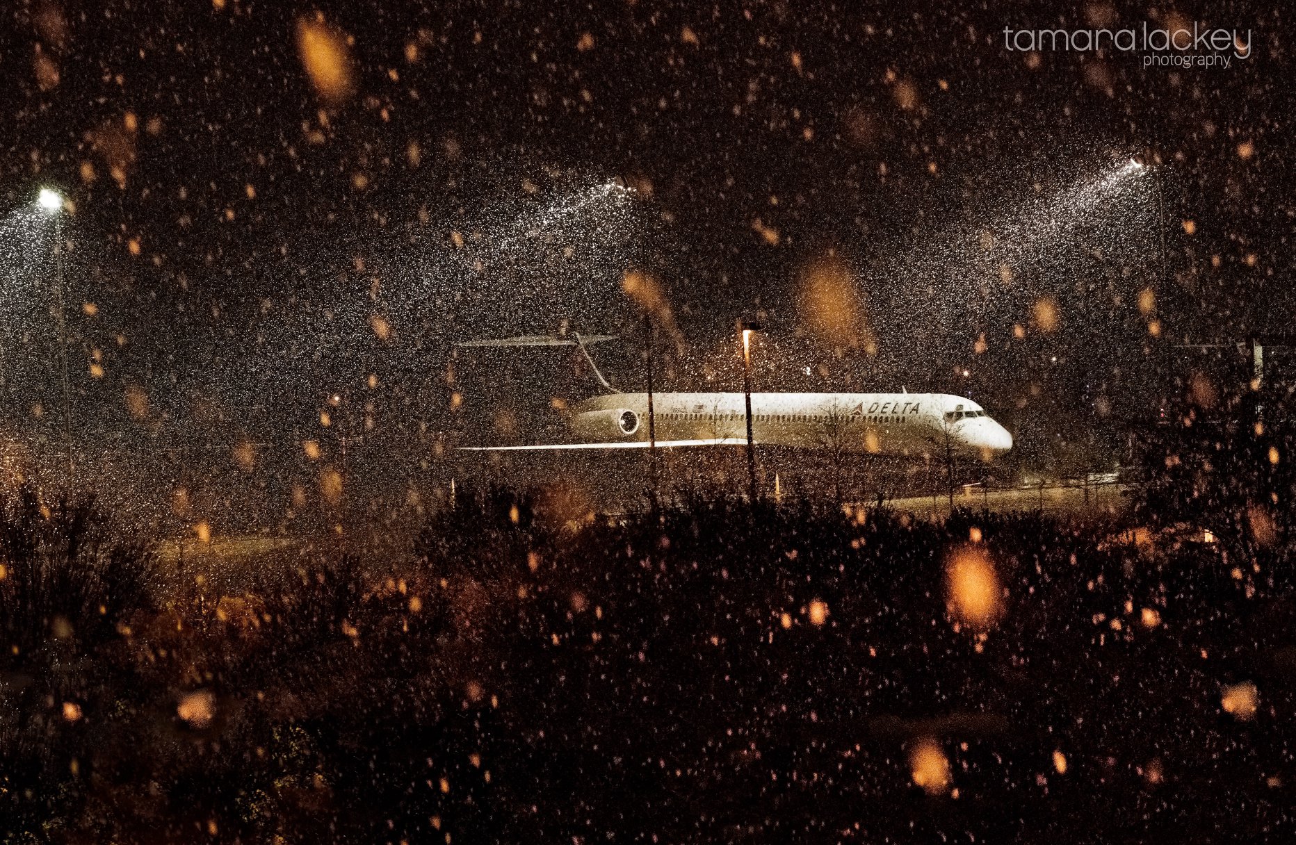 Photography Motivation, Tamara Lackey