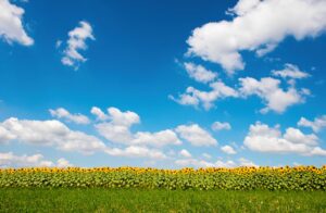 Provence, France, Landscape Photography, Tamara Lackey, Nikon Ambassador, Nikon Camera