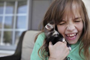 ferrets, people and pets, tamara lackey, nikon ambassador, pet portraits