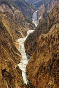 Yellowstone National Park, Photography Workshop, Tamara Lackey, Nikon Ambassador, Nikon D800, Camera