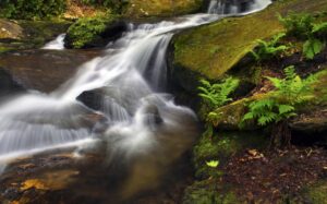 Asheville, North Carolina, Photography Workshop, Tamara Lackey, Nikon Ambassador, Nikon D5, Waterfall, long exposure, landscape photography, water