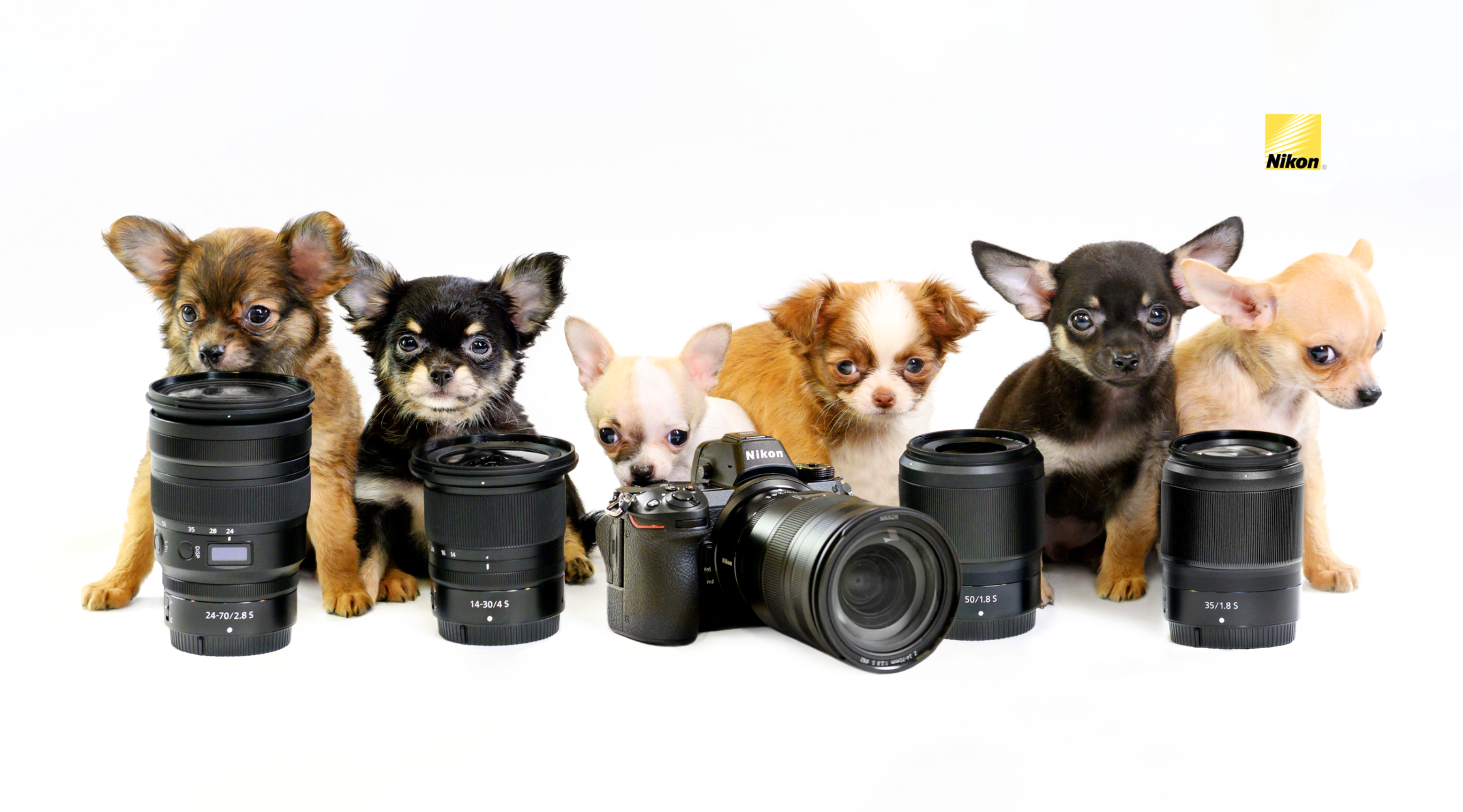 Nikon, Photography, Puppies, Rescue dogs, commercial Campaign, Tamara Lackey, Nikon Ambassador