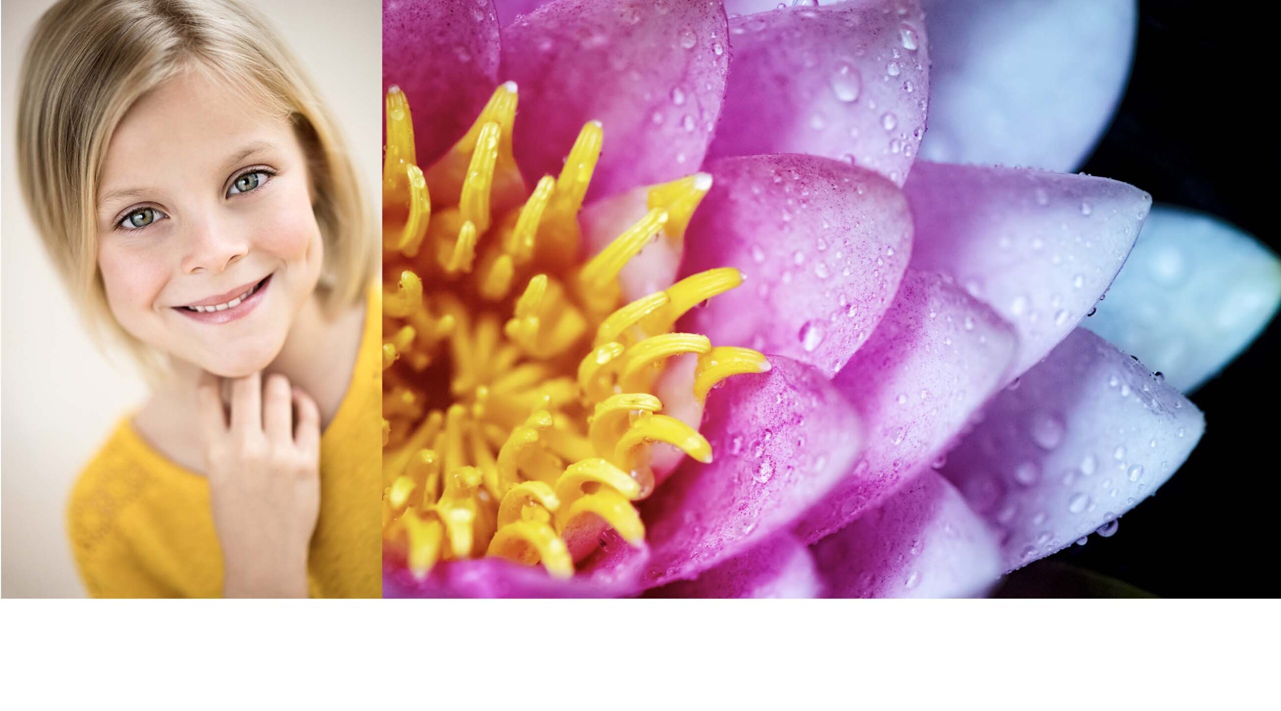 Tamara Lackey, Nikon D850, Photography Campaign, Macro Photography, Photo Workshop, Portrait Photography