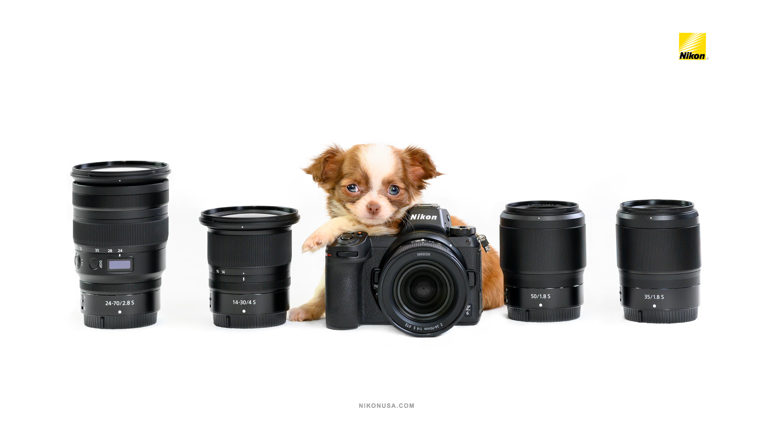 Tamara Lackey Puppies and Nikon Gear