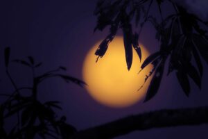 Full Moon, Amazon Rainforest, Tamara Lackey, Photography Workshop, Joe McNally, Nikon