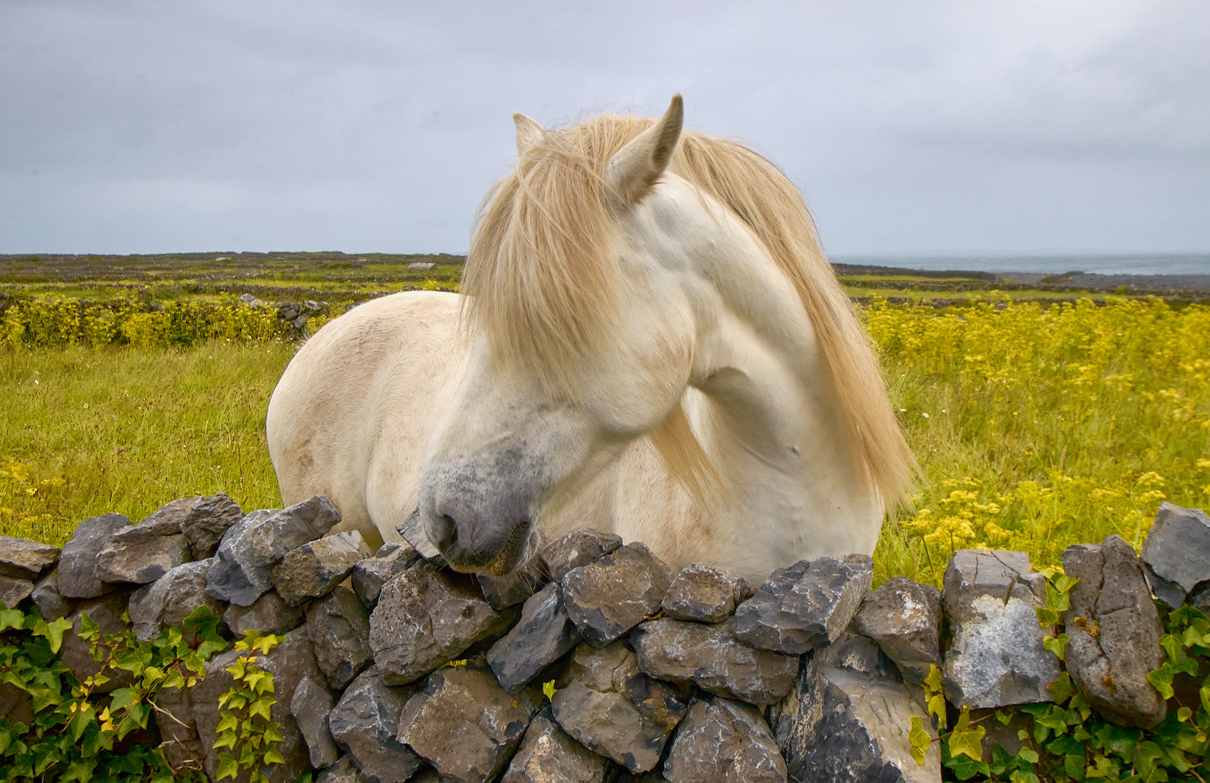 Photography Workshop with Joe McNally and Tamara Lackey begins in Dublin, Ireland and finishes in Galway, Ireland.