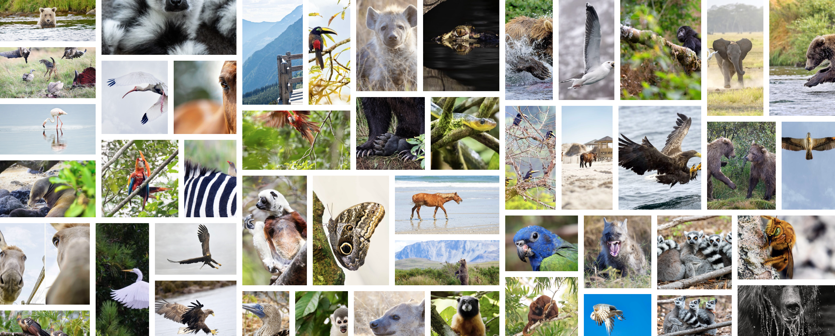 Adventure Photography Workshops with Nikon Ambassador Tamara Lackey