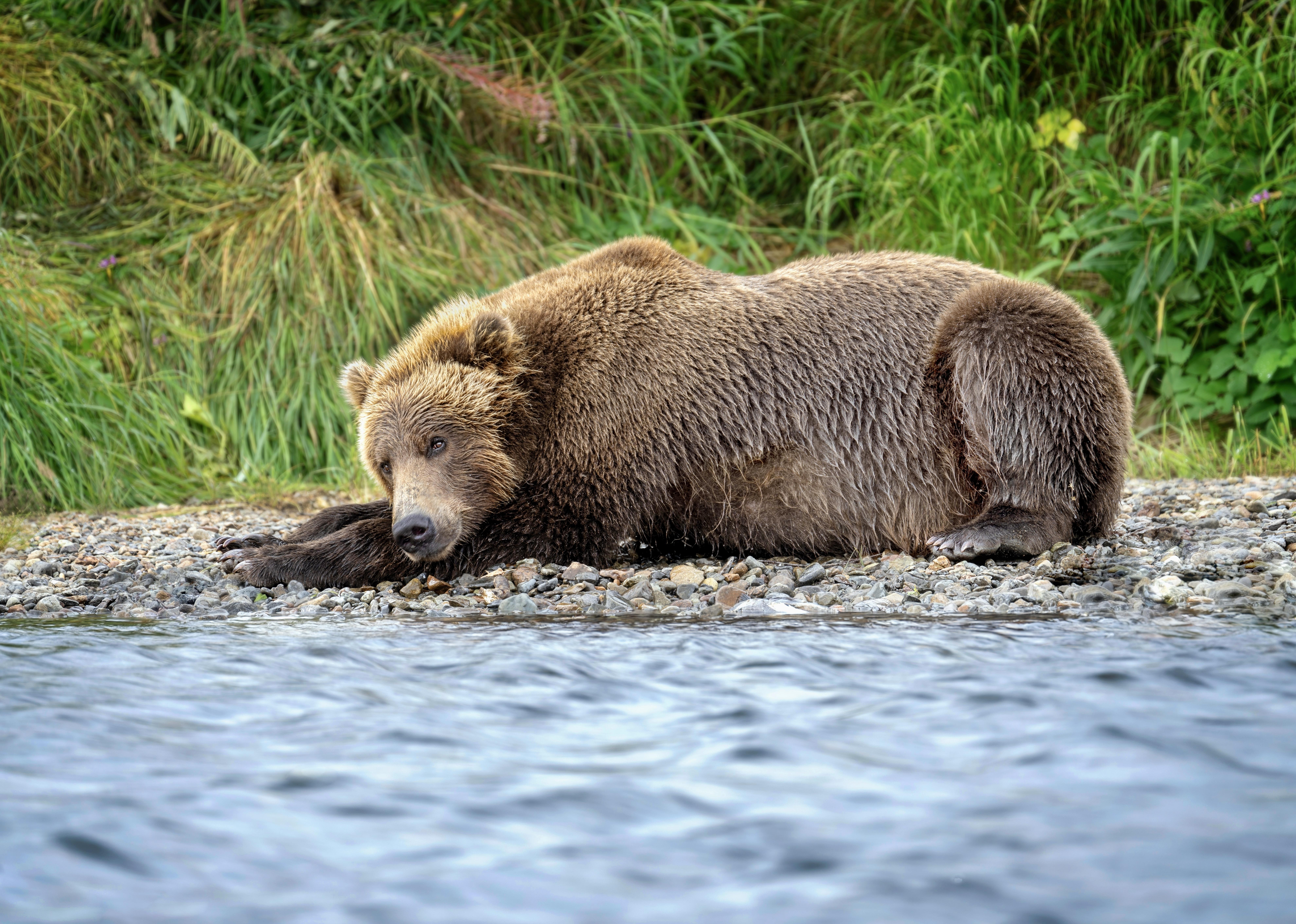 Tamara Lackey Nikon Ambassador teaching with Michelle Valberg