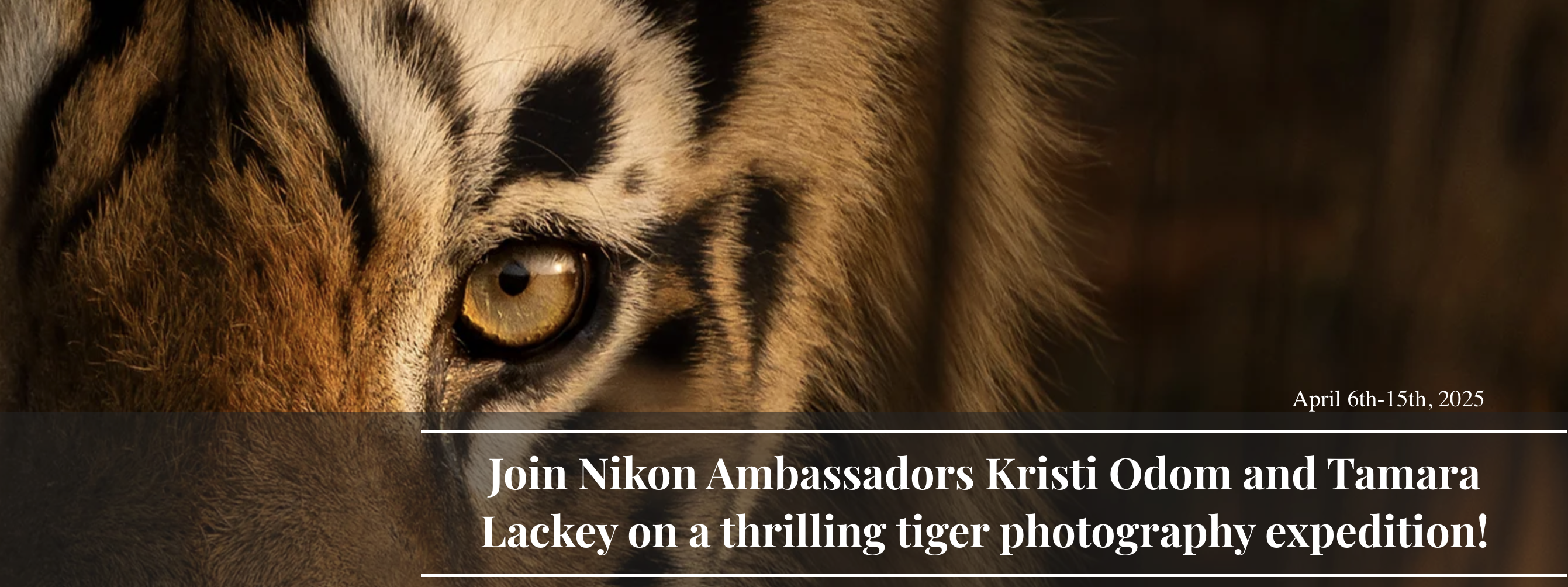 Tiger Safari Tamara Lackey kristi Odom Nikon Ambassador India