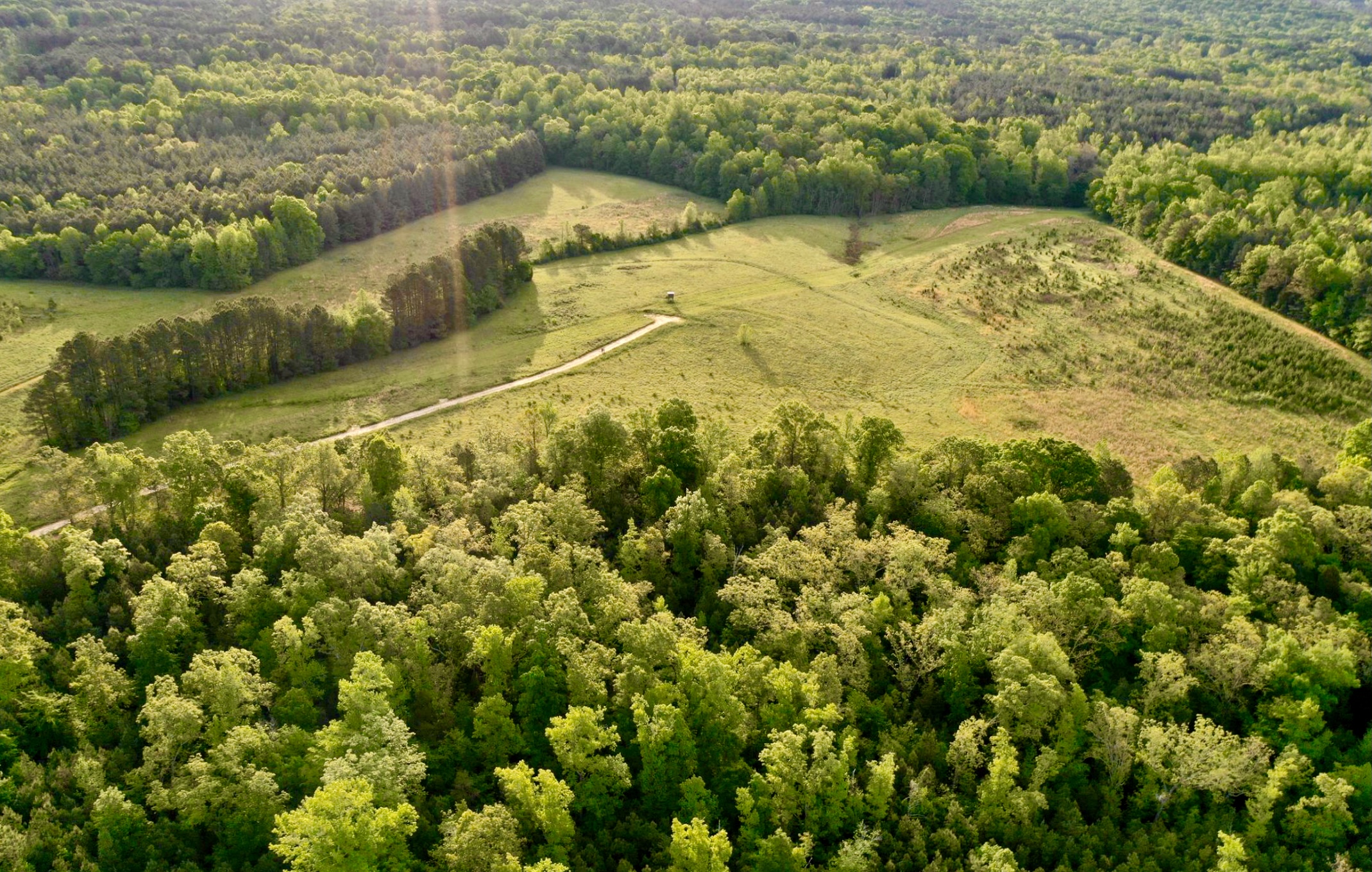 Beautiful Together Animal Sanctuary chapel hill nc